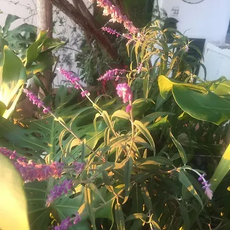 Casa Rosetta Hébergement de vacances *