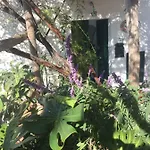 Casa Rosetta *