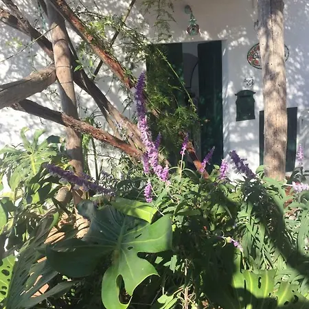 Casa Rosetta *