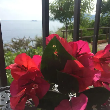 Casa Rosetta Praiano